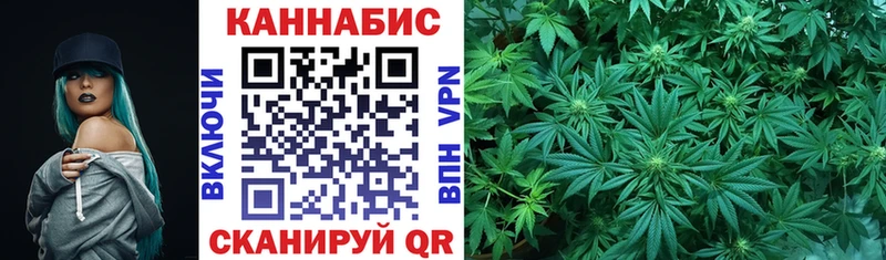 мориарти как зайти  OMG ссылка  Агидель  Бошки марихуана OG Kush 